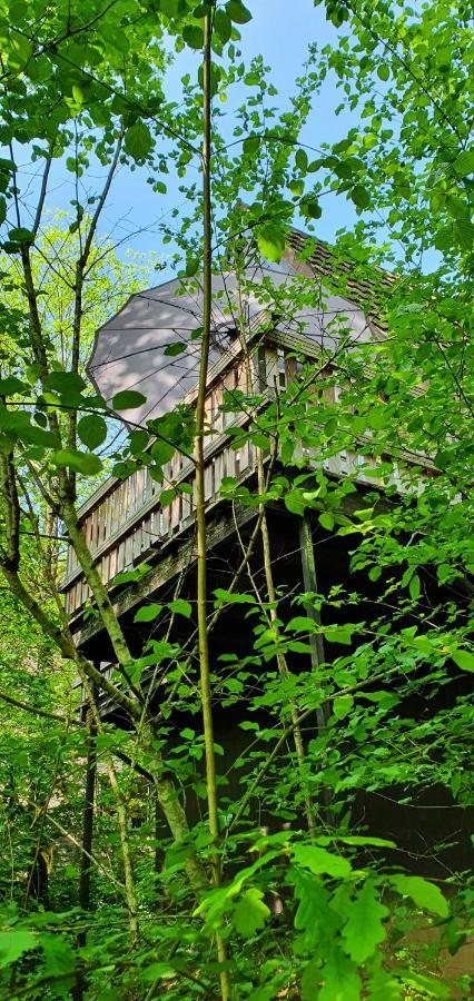 Gezellige bungalow met zwembad op het park Durbuy Buitenkant foto