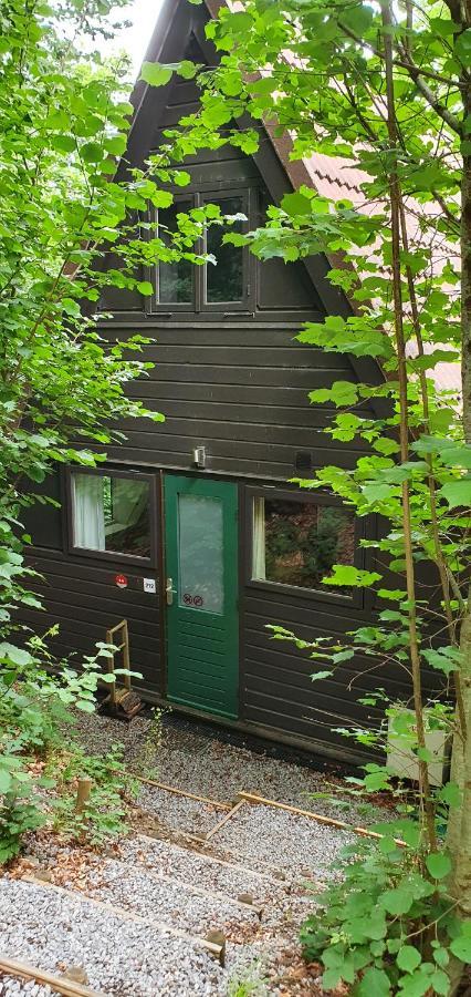 Gezellige bungalow met zwembad op het park Durbuy Buitenkant foto